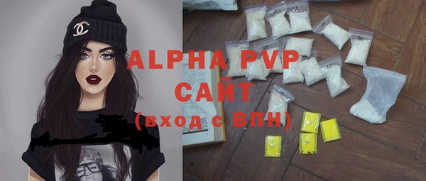 хмурый Бородино