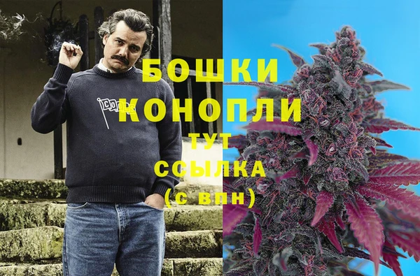 хмурый Бородино