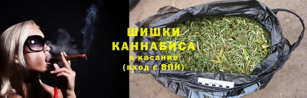 стаф Бронницы
