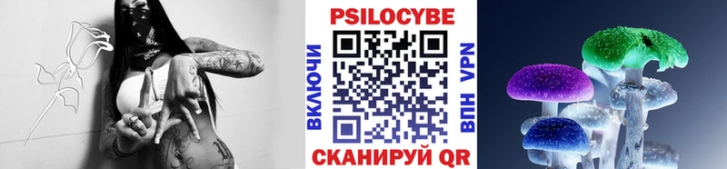 ссылка на мегу tor  что такое наркотик  Волосово  Псилоцибиновые грибы прущие грибы 
